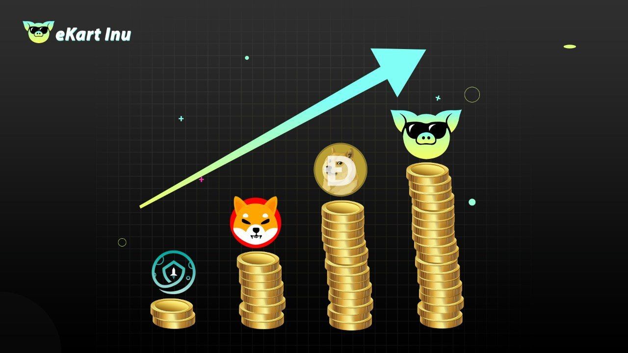 Expect Ekart Inu to Mash Shiba, Says  Financial Advisors