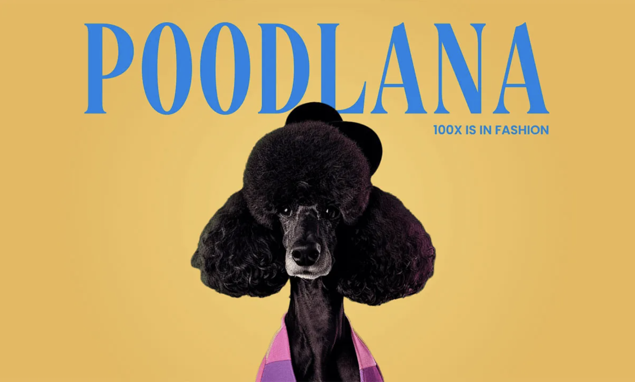 Poodlana se vuelve viral en Asia: aumenta la expectativa por su lanzamiento