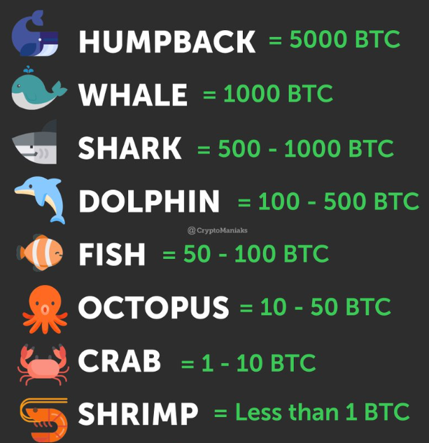 Bitcoin Wale und Haie