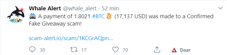 Golpe com a imagem de Elon Musk faz vítima perder 87 mil Reais