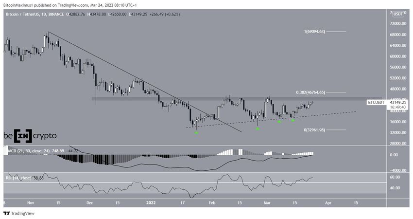 Dzienny wykres Bitcoin