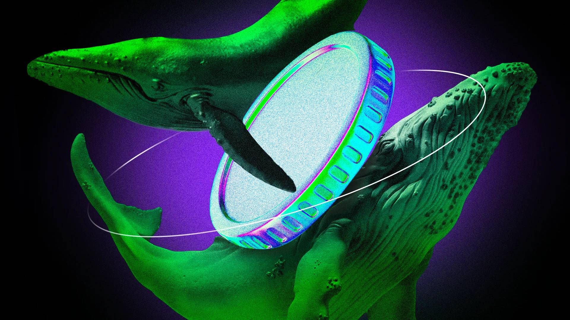 Altcoin Incaran Crypto Whale untuk Potensi Profit di Juni