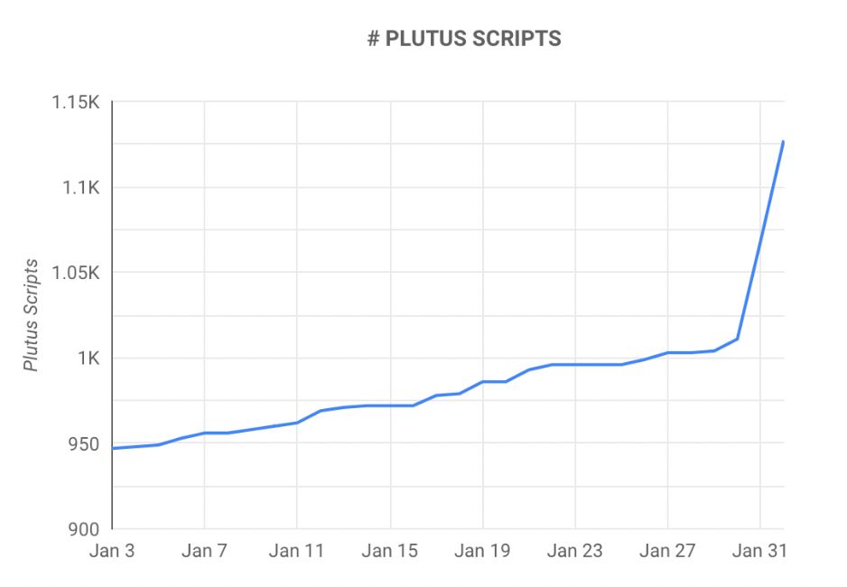Zahl der Cardano Smart Contracts: Quelle Google Data Studio
