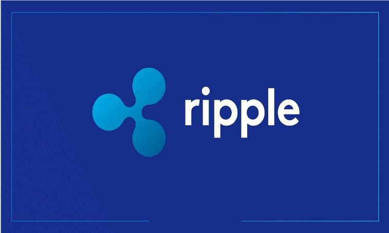 Le XRP stagne alors que le token Shibie lance sa prévente