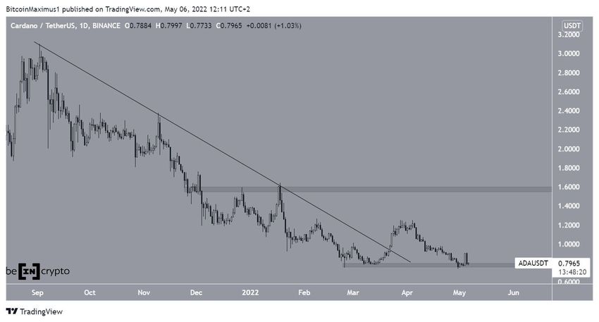 Dzienny wykres Cardano
