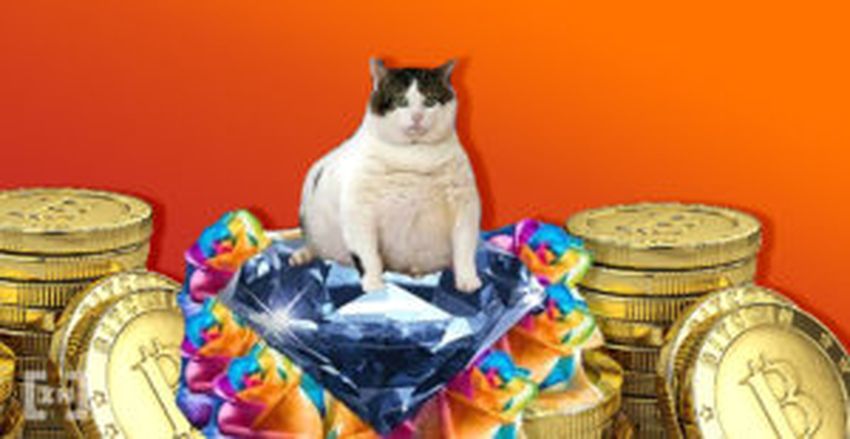 6 criptomoedas com potencial para investir em 2020