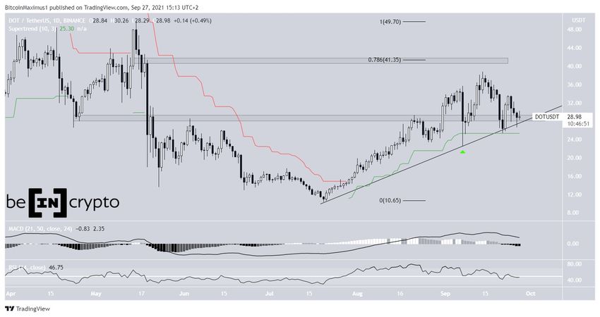 Dzienny wykres Polkadot