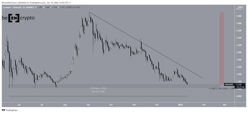 Dzienny wykres Cardano