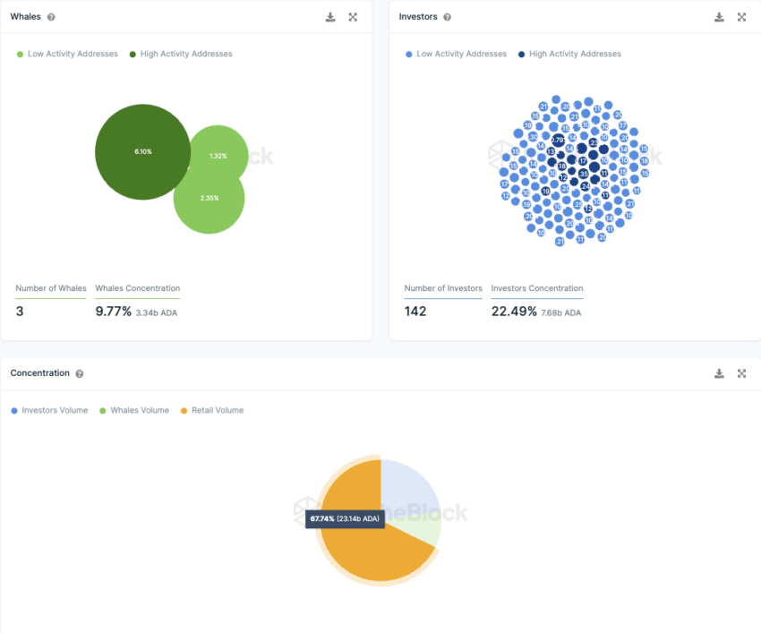 Grupy inwestorów Cardano