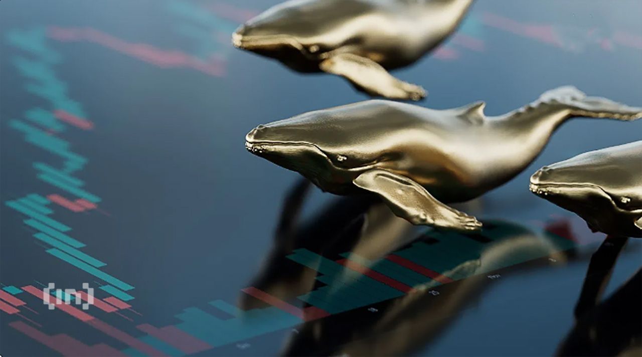 Crypto Whales Scoop Up Over $35M in Shiba Inu (SHIB), Signaling Bull Season