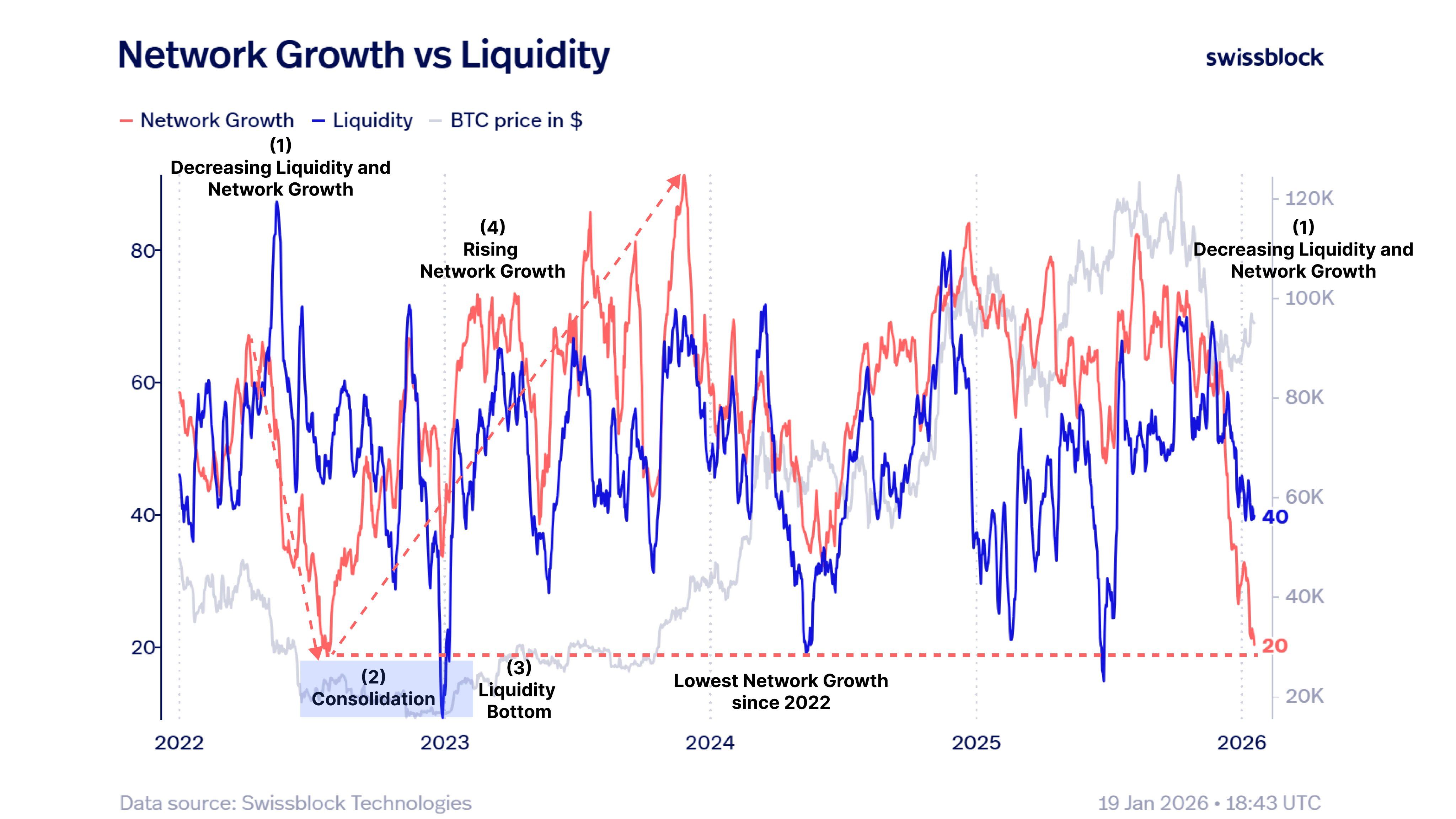 Bitcoin Network Growth vs Liquidity. Source: Swissblock