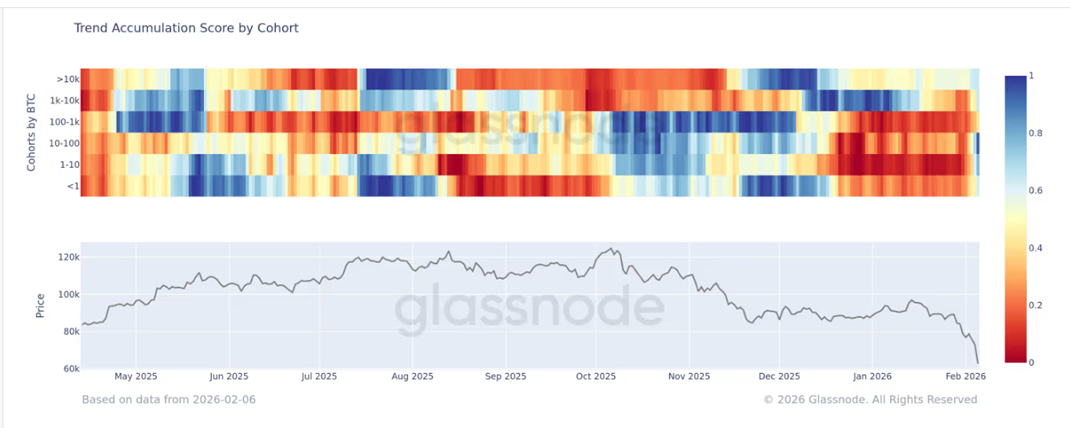 Accumulation Trend Score. Source: Glassnode
