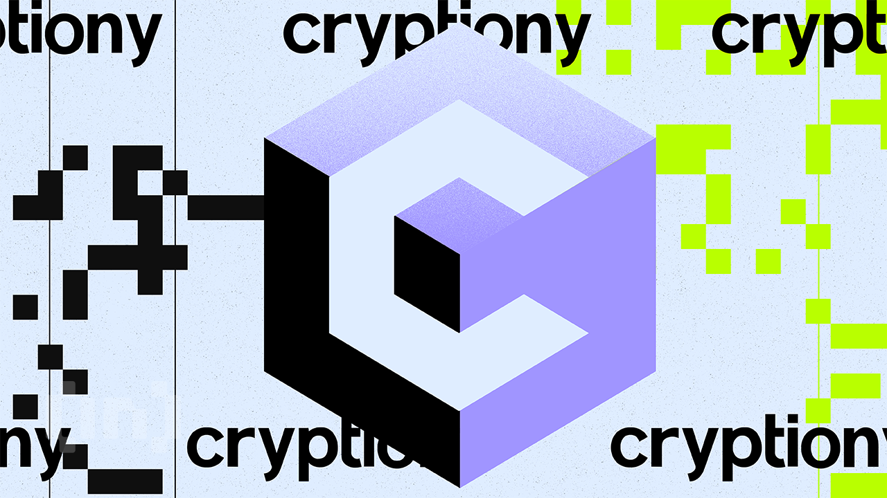 Navigating Crypto Taxes Made Easy & Cheap: Meet Cryptiony