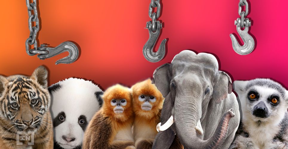 Bitcoin Burning Too Much Energy? Here Are 3 Green Blockchain Initiatives