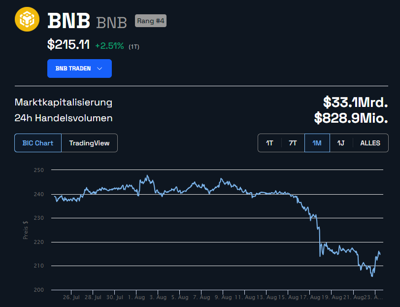 Monatschart Binance BNB