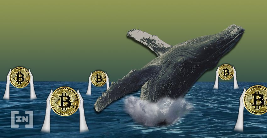 Bitcoin BTC Whale
