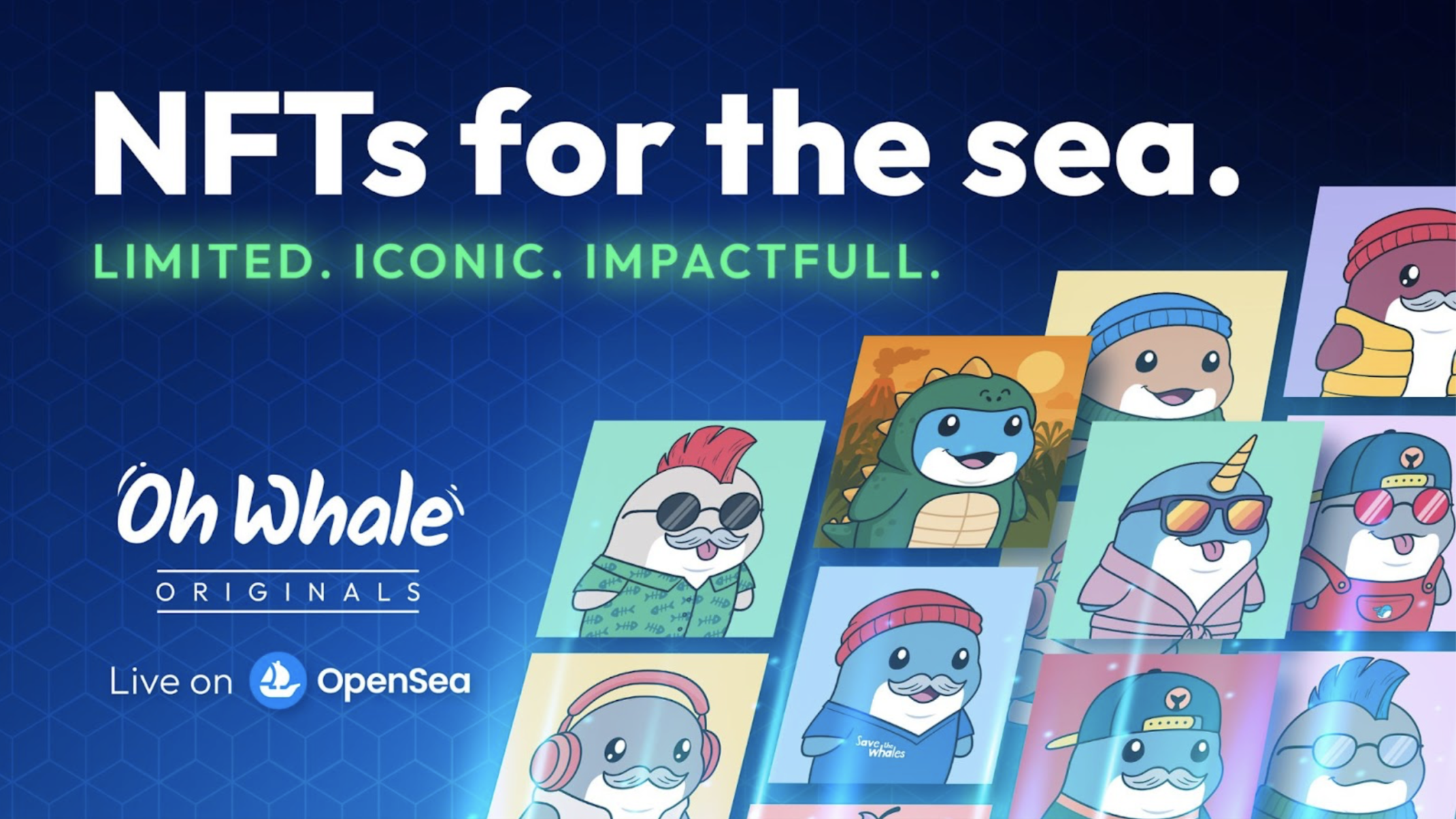 Oh Whale Launches Utility-Driven NFT Collection to Support Ocean Protection