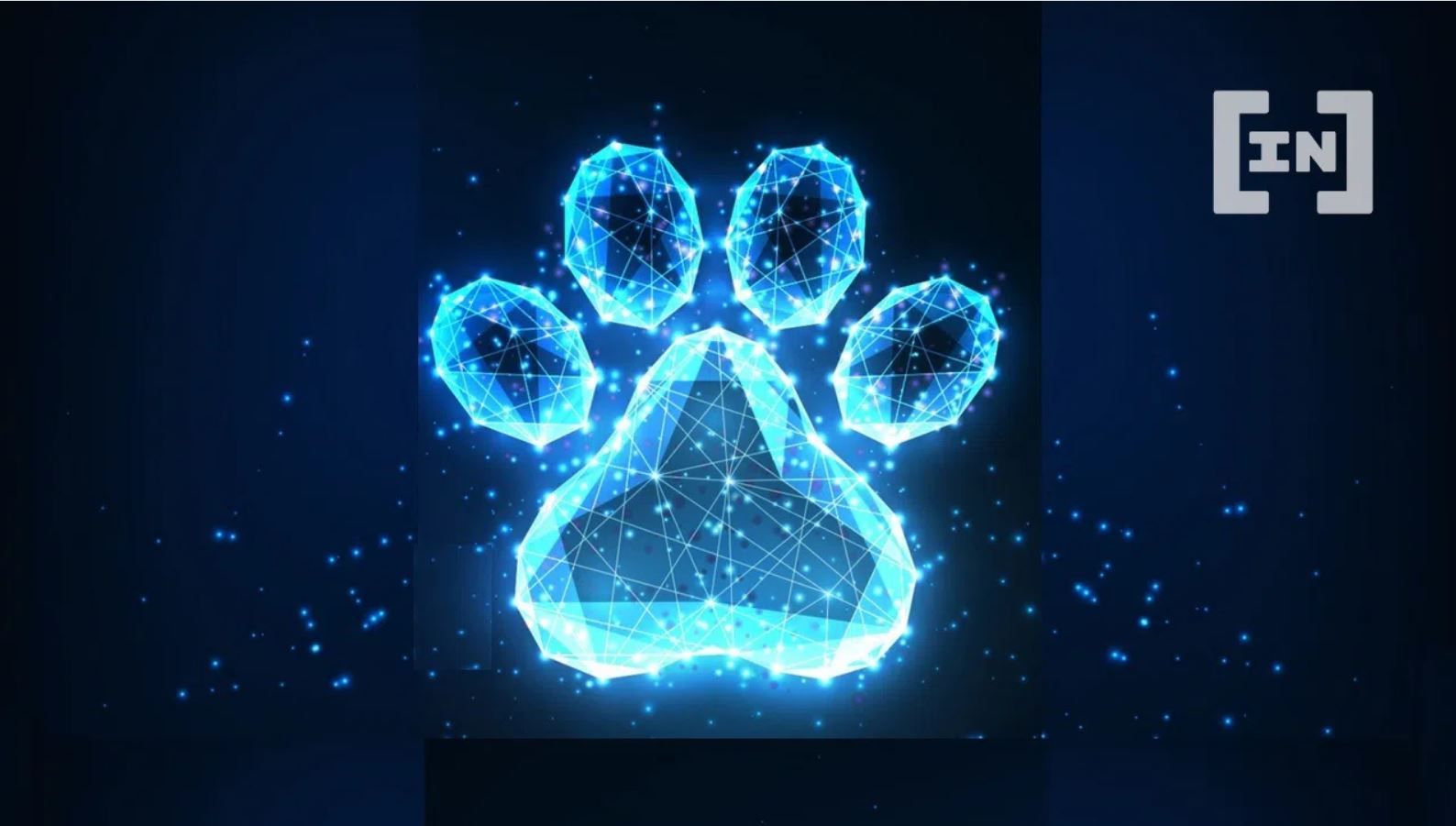 Cachorros blockchain: la iniciativa para vender perros NFT