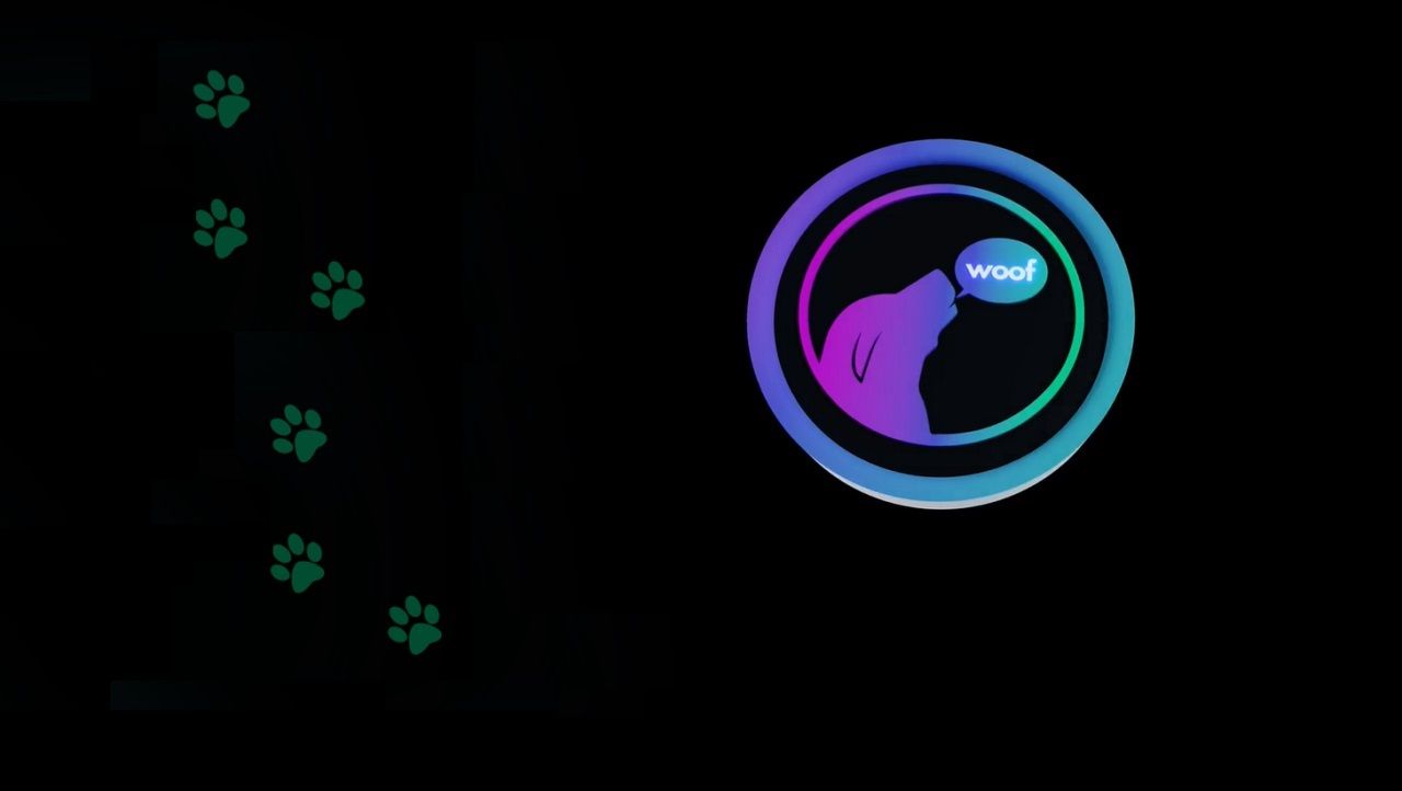 WOOF Price Prediction: $0.00028234 by 2024. But What is Woof Coin?