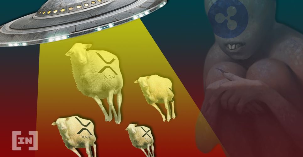 xrp ripple
