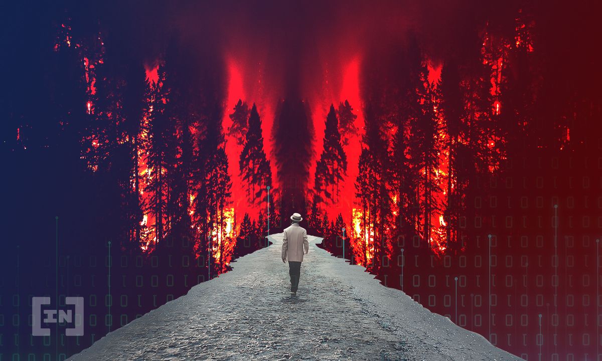 Каждый блокчейн подконтролен группе привилегированных лиц — Trail of Bits