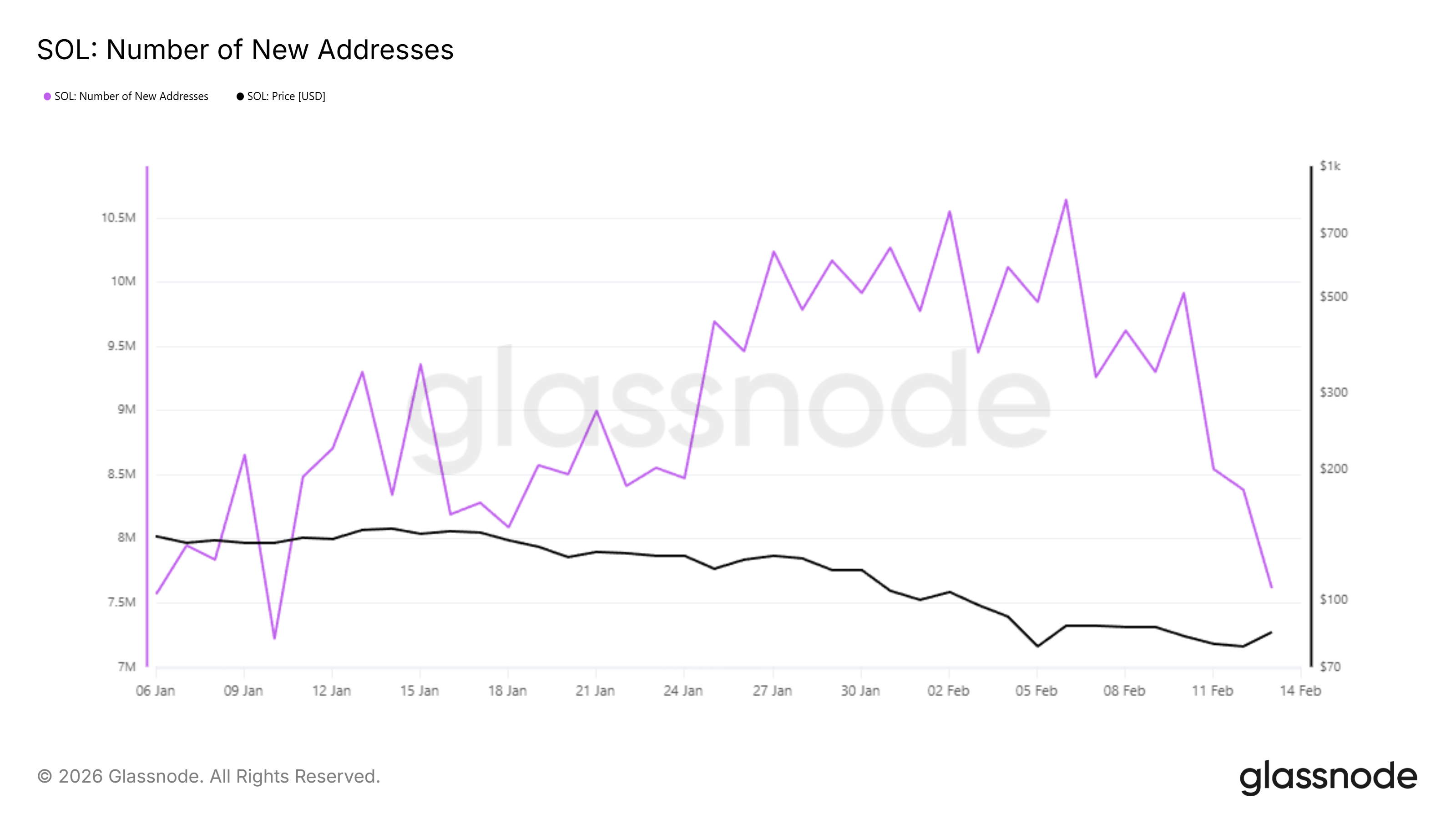 Solana New Addresses