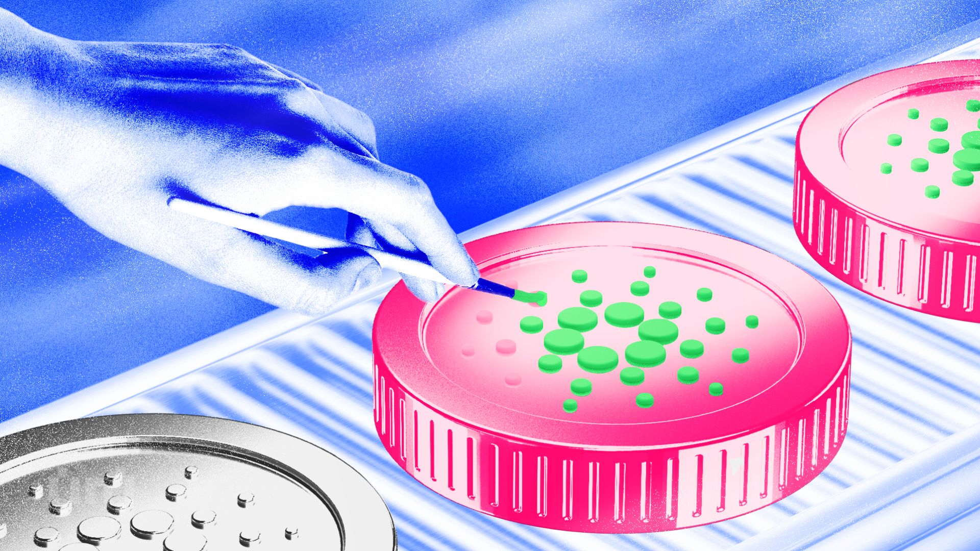 Cardano Foundation Aims to Accelerate Blockchain Adoption in Brazil’s Public Sector