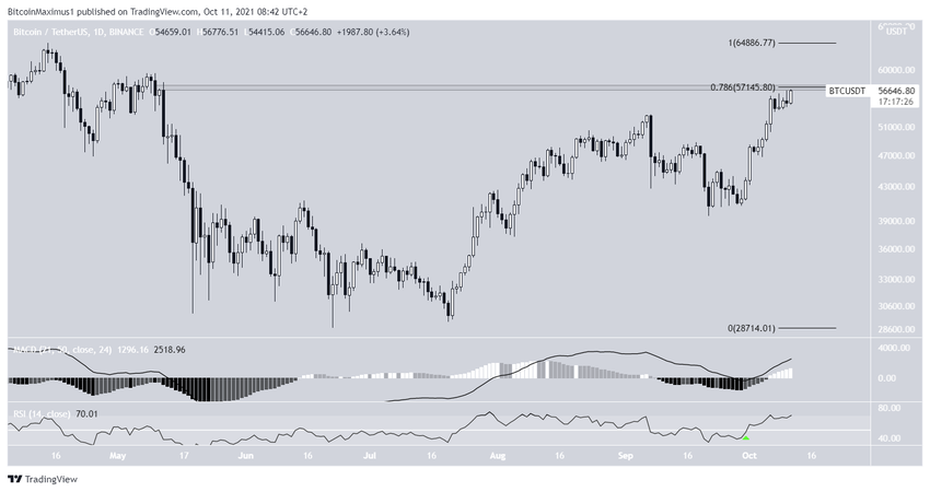 Bitcoin dzienny wykres