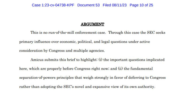 Extracto del amicus brief. 