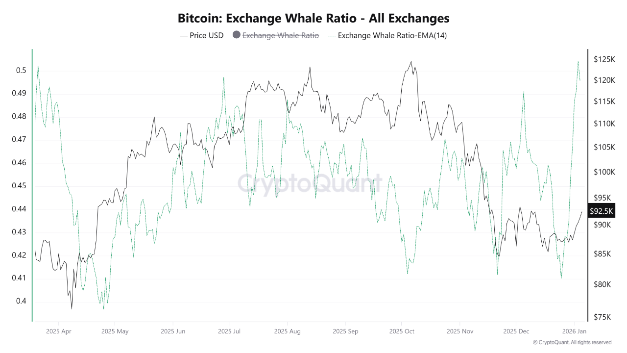 Bitcoin Exchange Whale Ratio. Source: CryptoQuant