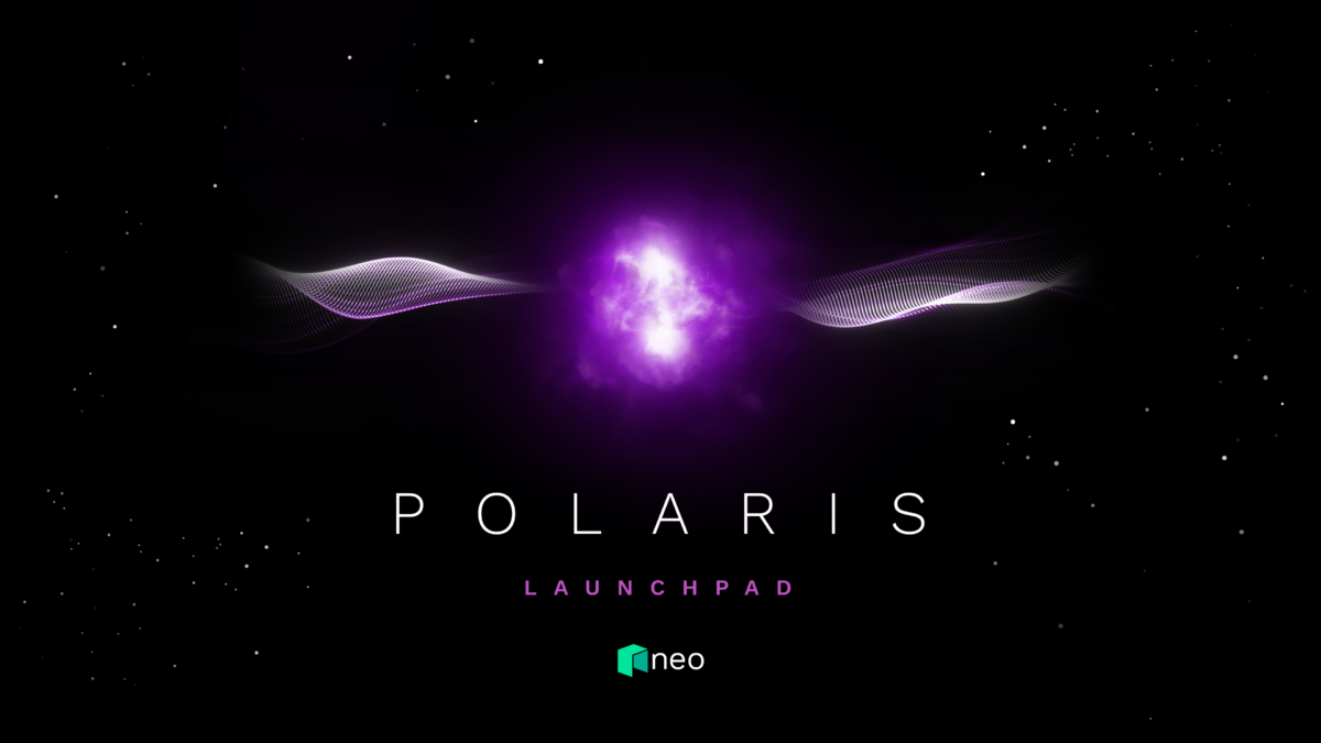 More Than 400 Developers Joined Neo’s Polaris Launchpad Hackathon