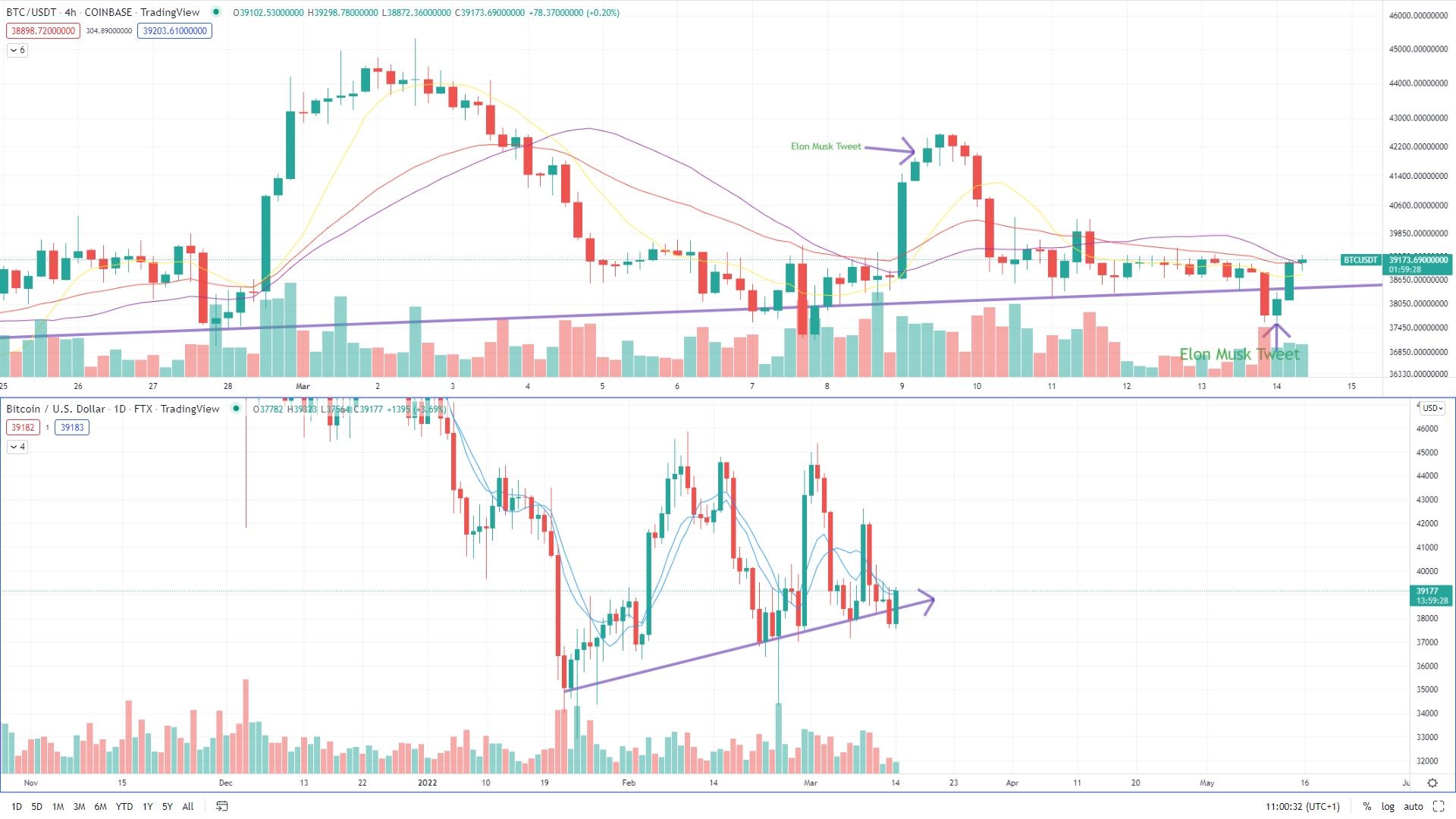 Bitcoin Kurs Elon Musk Tweet Tradingview