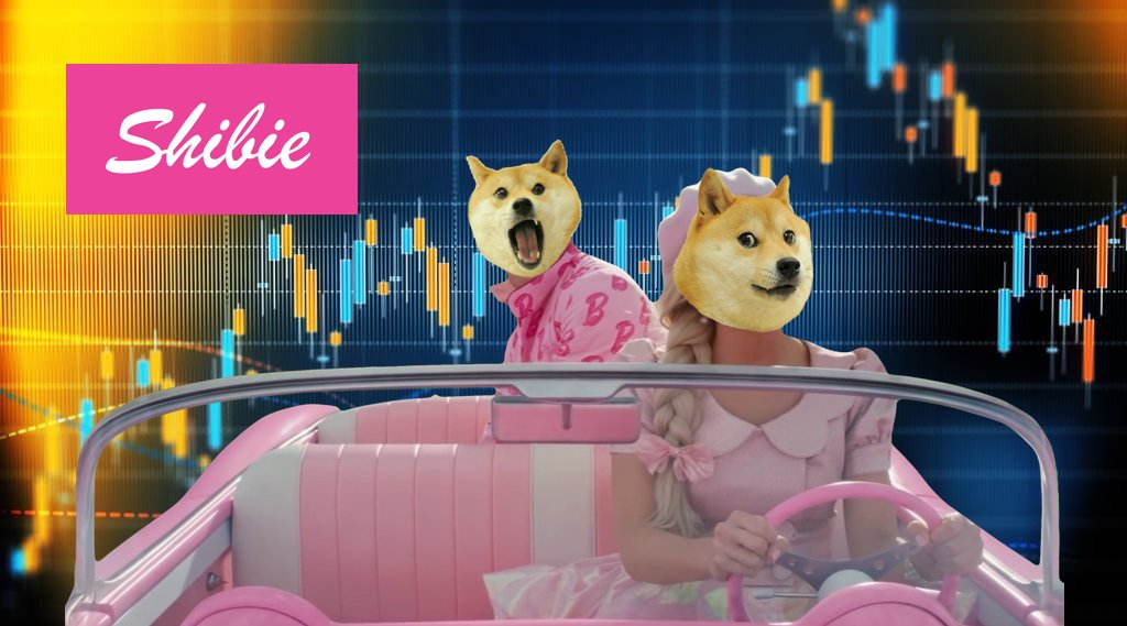 Shibie Coin muestra buenas señales en el mercado