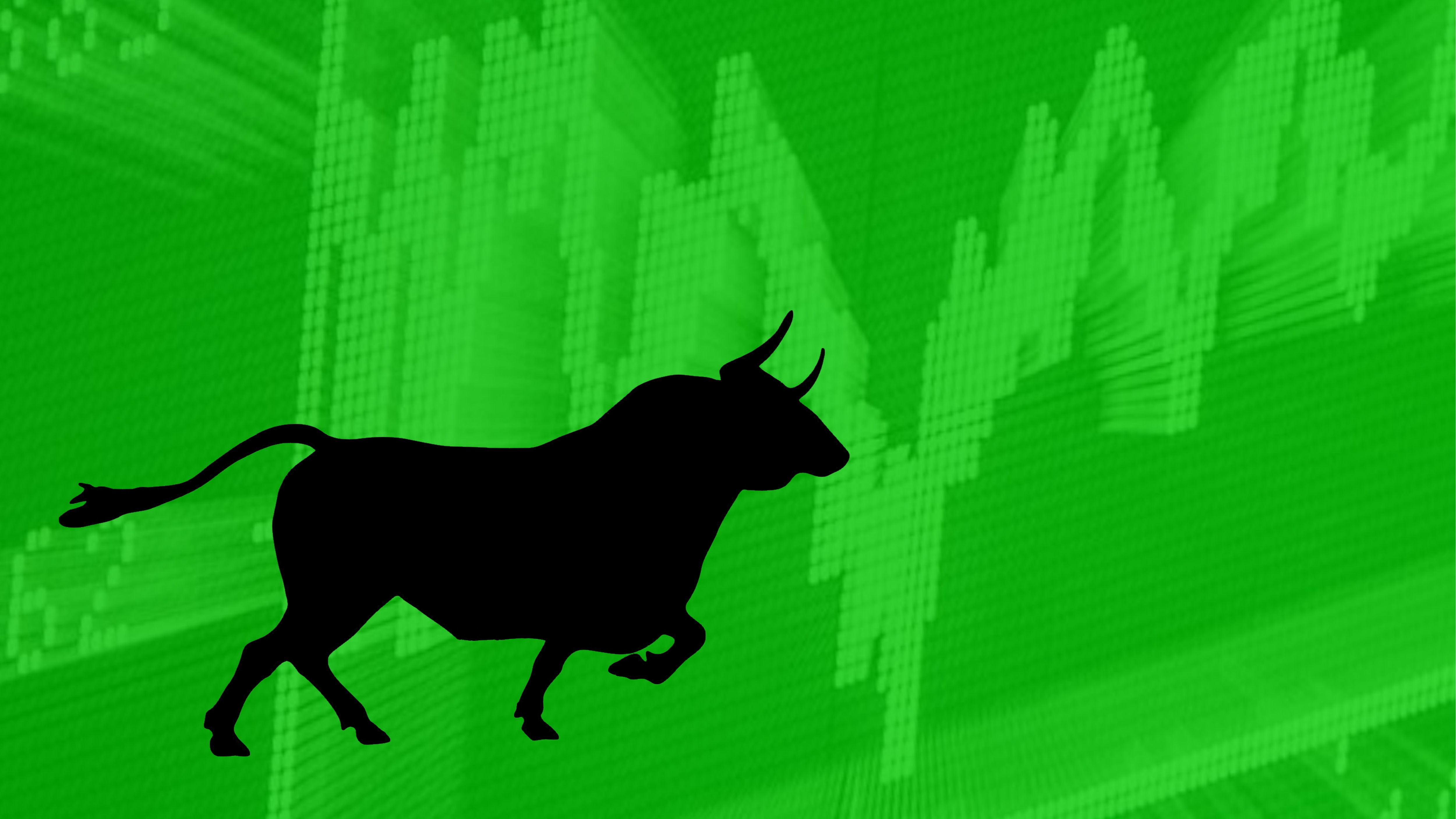 bull market