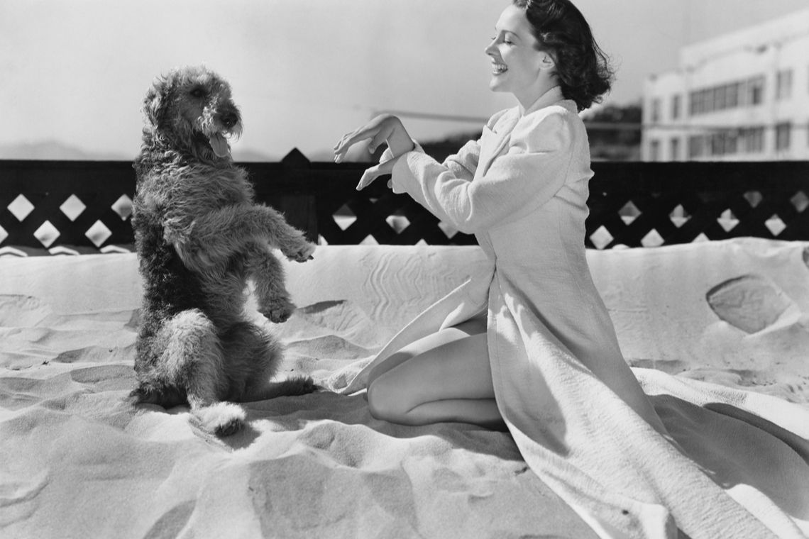 SKEN: Anatomy of an ICO Copycat