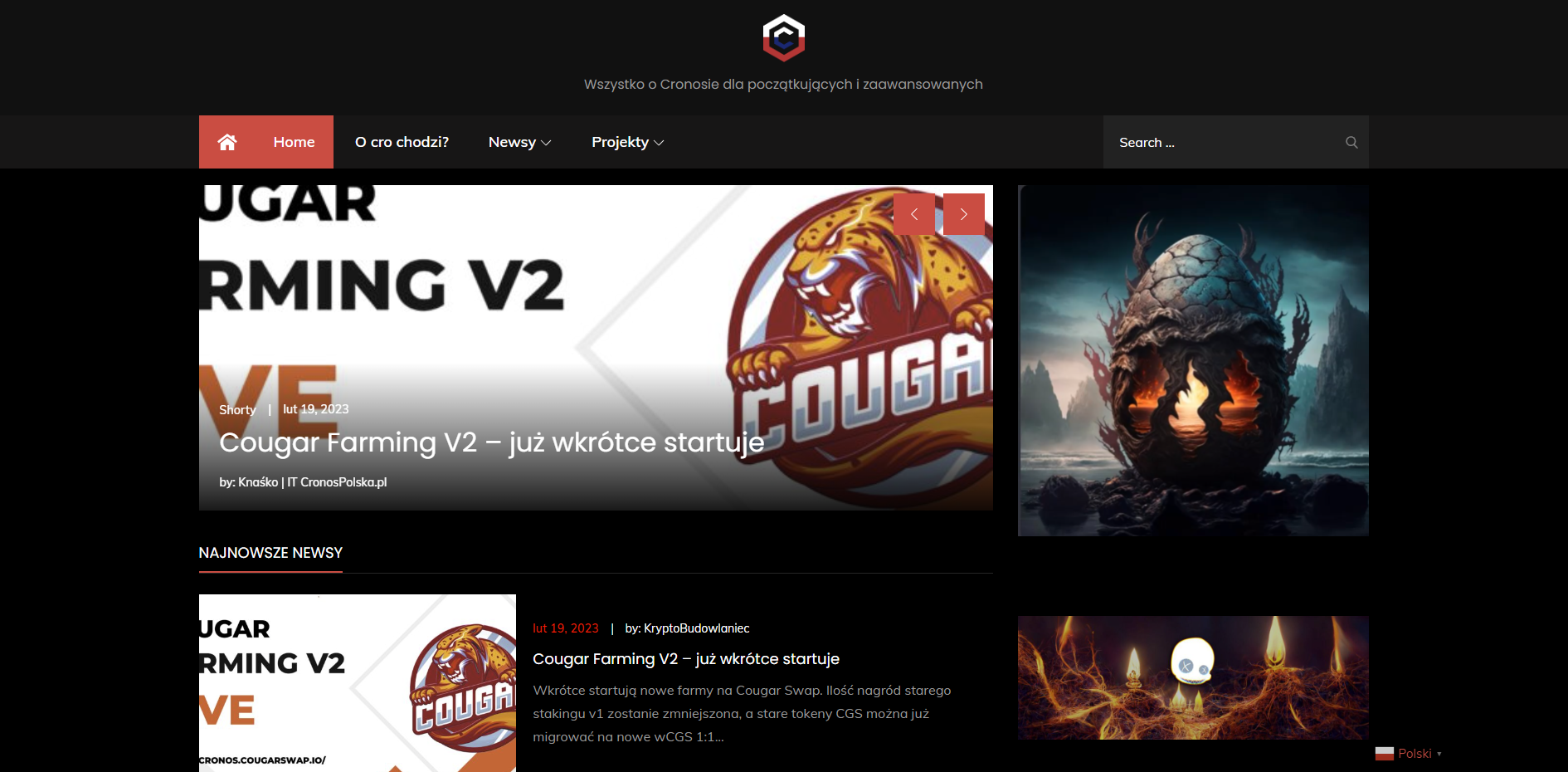 CronosPolska - strona internetowa