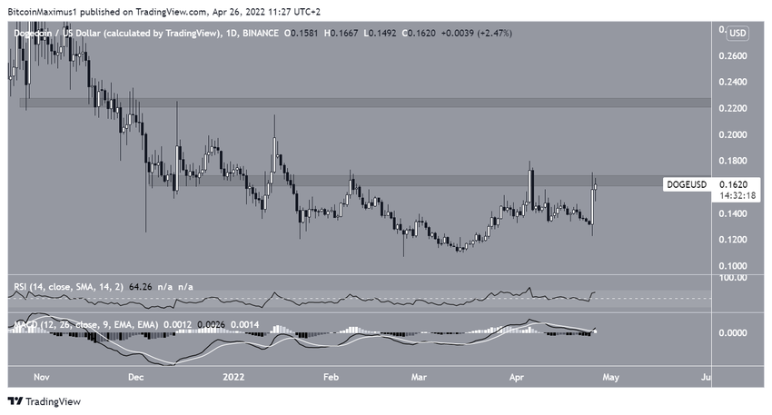 Dogecoin - wykres dzienny