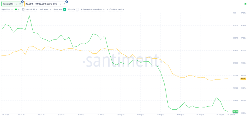 Is Litecoin (LTC) Price In Danger | Whales Wallet Addresses