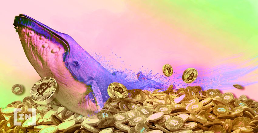 Whale Bitcoin BTC