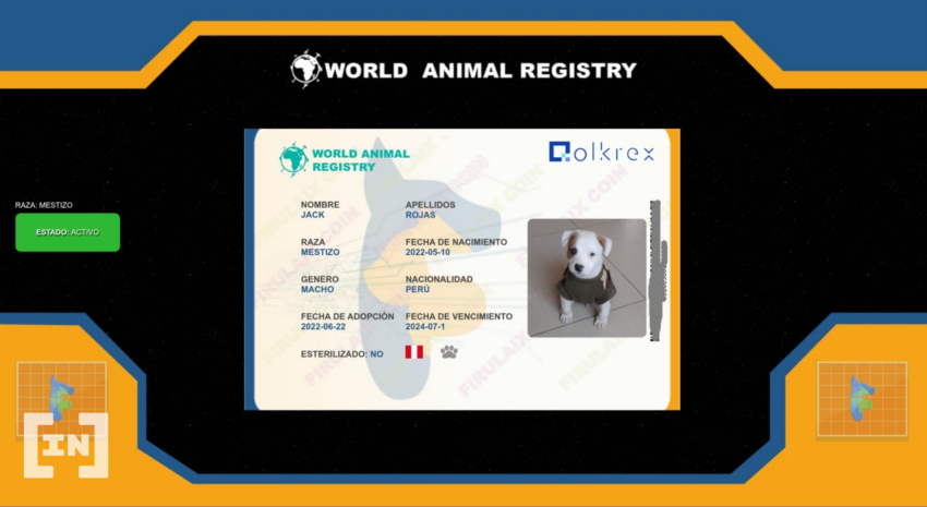 Firulaix anuncia el inicio de registros de mascotas con blockchain