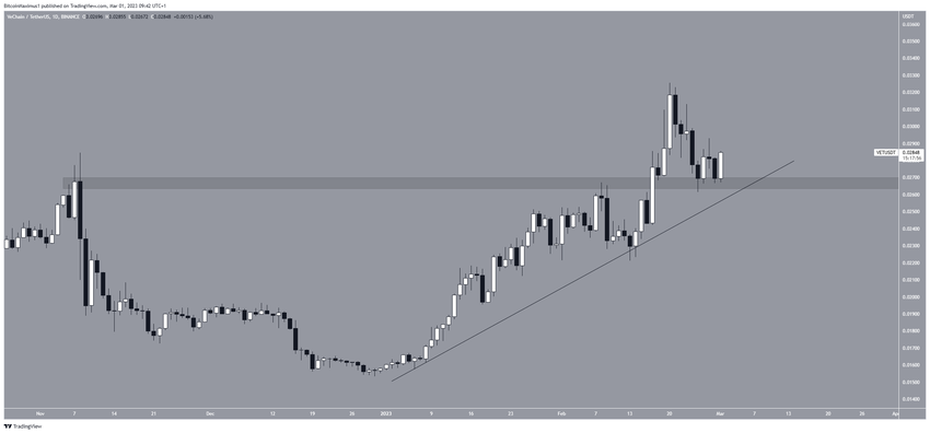 TOP 5 najlepsze altcoiny - 