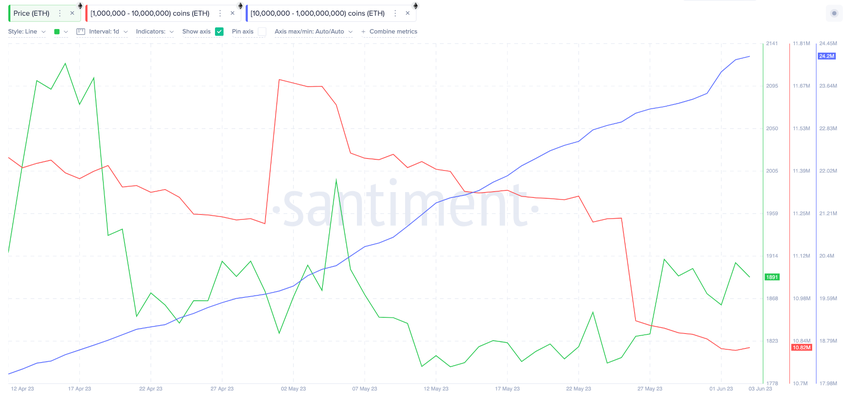 Portfele wielorybów Ethereum