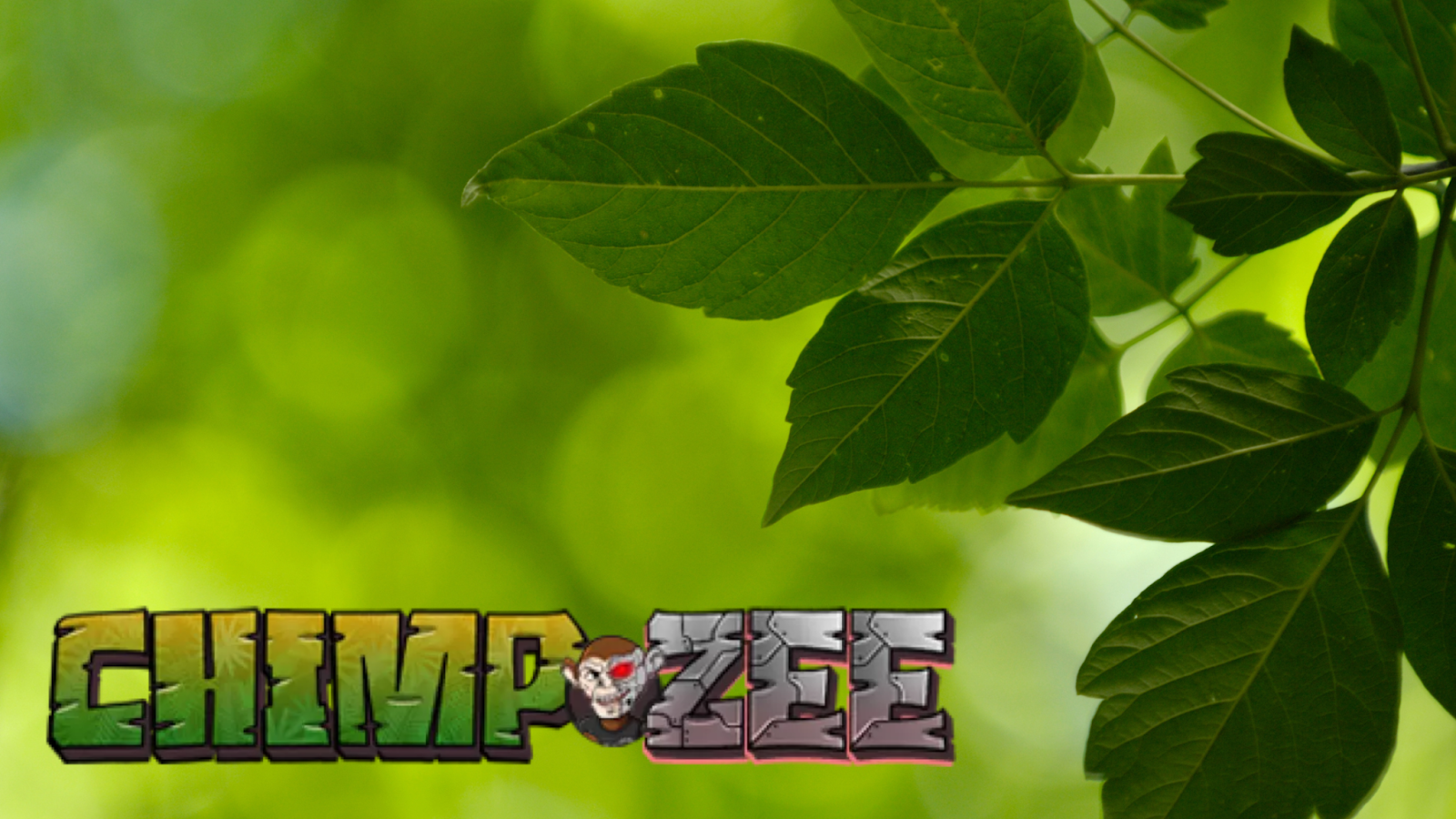 Chimpzee: a meme coin que está mudando a forma como investimos!