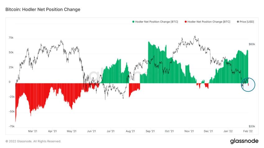 Zmiana pozycji posiadaczy długoterminowych i CDD