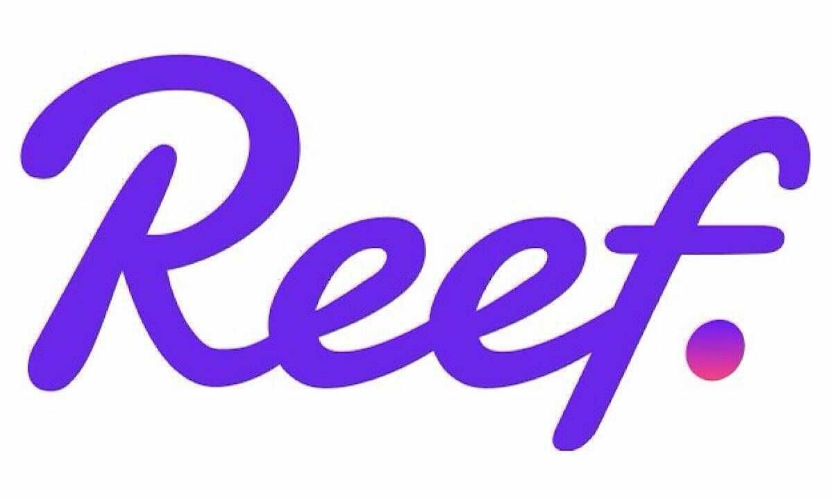 Reef Launches NFT Team Focused on Graffiti and Electronic Music Artists
