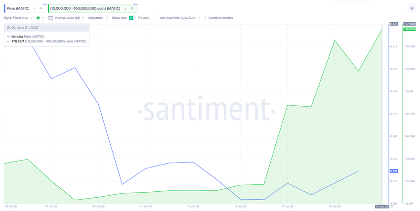 Polygon (MATIC) Whales Wallet Balances. June 2023