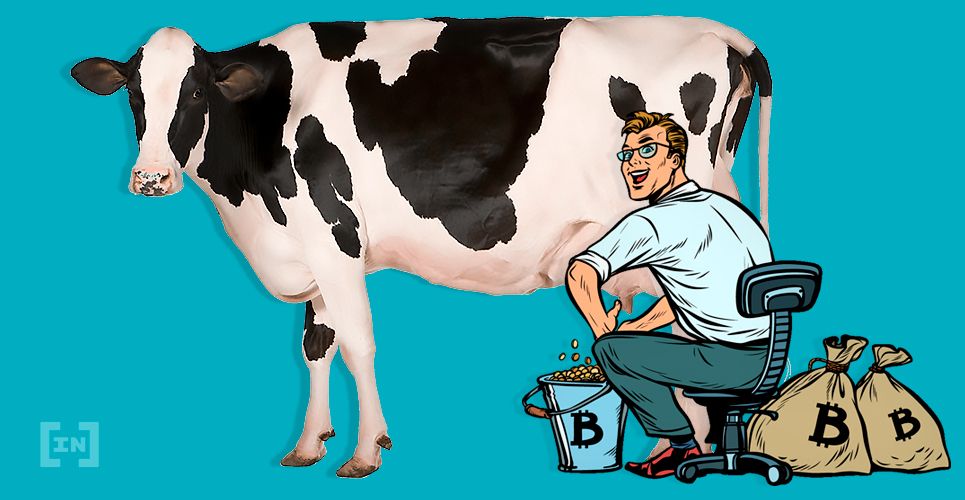 Adamant Capital: Bitcoin is a Store of Value (Payments are Secondary)