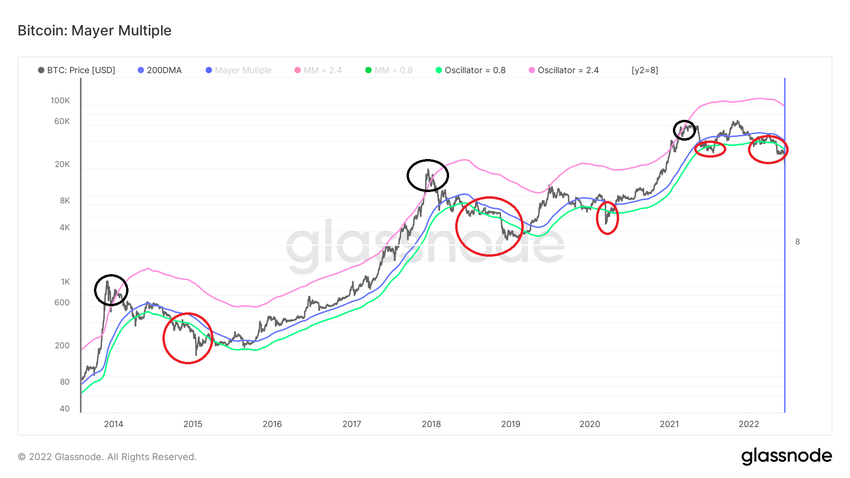 Mayer Multiple ончейн