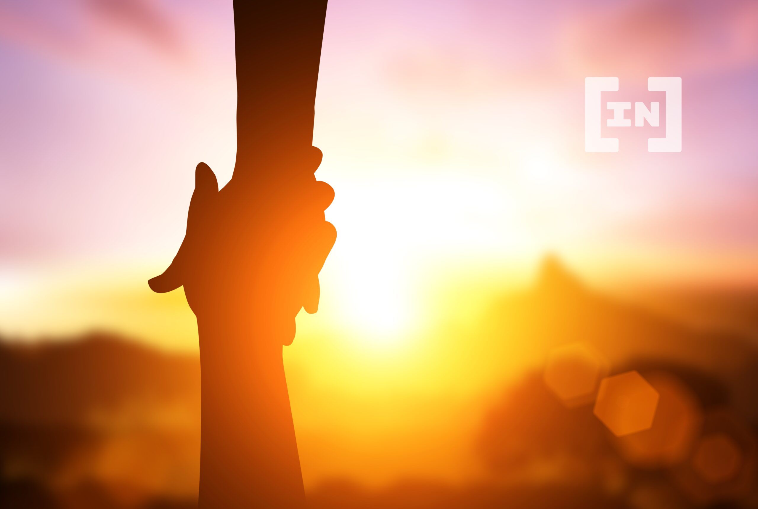 Nem todos os DAOs são iguais. Conheça as principais categorias!