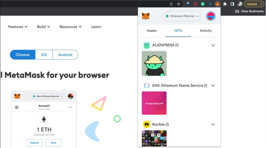 MetaMask Crypto Wallet Supporting NFT Extension 